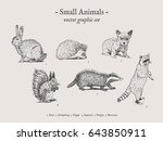 Small Animals Drawings Set On...