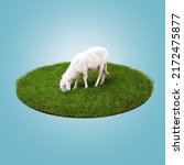 3d Rendering Young White Sheep...