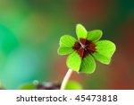 Four   Leaved Clover  Green...