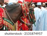 Small photo of Decorated horse at the Durba in Minna, Niger State, Nigeria during the 2016 Eid Al Fitr celebration