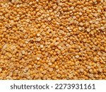 Small photo of Toor dal is known as tur daal, yellow lentils split peas, indian split pigeon peas, arhar dal, tuvar dal, split peas, Yellow lentils, arahar daal, indian pulses. Concept of vegetarian protein food.