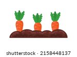 vector vegetable garden... | Shutterstock .eps vector #2158448137