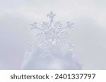 photograph of snowflake with white background