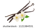 Vanilla sticks with flower and leaf isolated on white background. Top view. Flat lay
