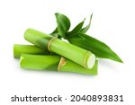 Green bamboo with leaves isolated on white background with clipping path and full depth of field