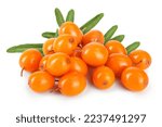 Small photo of Sea buckthorn. Fresh ripe berry isolated on white background macro