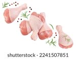 Raw chicken leg or drumstick isolated on white background with full depth of field. Top view. Flat lay
