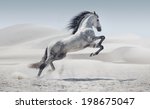 Wild Horse In Dust