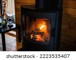 Burning wood in a modern black fireplace with a closed combustion chamber standing in the living room.