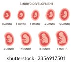 human embryo development nine...
