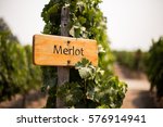 Merlot wine sign 