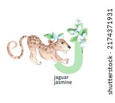 Letter J  Jaguar With Jasmine ...