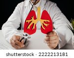 Small photo of Doctor holding lung organ model. Awareness of lung cancer, pneumonia, asthma, COPD, pulmonary hypertension.