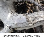 Driftwood Stick Logs Aged...