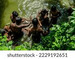 Small photo of Few fishermen fishing in a pond of Barisal, Bangladesh. This was taken, in 2022 October. Locals survive by barter or selling their catch in the village as Bangladesh is under economic crisis 2022.