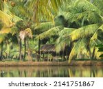 Tranquil still waters of Kerala backwaters as seen by a narrowboat with lush green palms and vegetation with a small traditional shelter visible