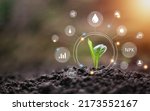 Small photo of agricultural growth concept It has both the benefits of soil and plants. Including the use of artificial intelligence agriculture technology in 5G Industry 4.0 technology that needs to be improved. ai