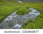 Small photo of East Fork Fishhook Creek on Hatcher Pass near Palmer in Alaska, United States,North America