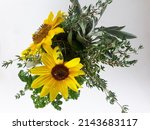 Small photo of Sunflower, sunflower, brighten up my day with your punch of yellow. Sage, parsley and rosemary spice up my day with your delicious flavours.