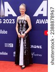 Small photo of Sue Lowry attends the 2023 ARIA Awards at the Hordern Pavilion on November 15, 2023 in Sydney, Australia.