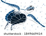 graphic sea turtle vector...