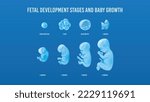 Small photo of Fetal Development Stages and Baby Growth and development