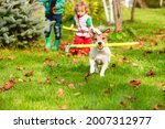 Family and pet dog doing fall...