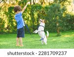 Young owner training dog to stand on hind paws. Pet dog and kid learning tricks together outdoor. 