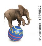 Elephant Balance On Ball