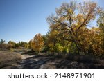 The trees changing colors at Fort Laramie in Wyoming beautiful foliage in the fall
