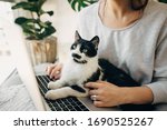 Small photo of Young woman using laptop and cute cat sitting on keyboard. Faithful friend. Casual girl working on laptop with her cat, sitting together in modern room with pillows and plants. Home office.