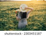 Beautiful barley field in sunset light and blurred image of woman in straw hat holding wildflowers. Evening summer countryside and gathering flowers. Atmospheric tranquil moment