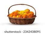 Flowers with basket isolated on ...