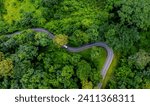Small photo of Aerial top view road in forest with car motion. Winding road through the forest. Car drive on the road between green forest. Ecosystem ecology healthy environment road trip. Holiday and Travel.