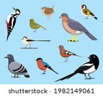 uk birds magpie pigeon finch... | Shutterstock .eps vector #1982149061