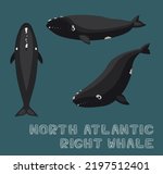 North Atlantic Right Whale Cartoon Vector Illustration