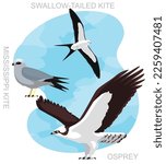 Cute Bird Osprey Kite Set...