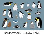 Various Penguins Cartoon Vector ...