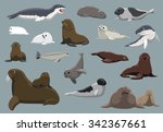 Various Seals Set Cartoon...