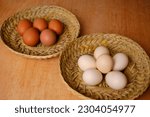 comparison between purebred chicken eggs with a slightly orange color and healthy white free-range chicken eggs