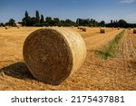 Hay Bales In The Countryside