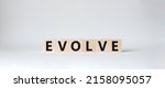 Evolve Symbol. Concept Word...