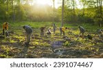 Small photo of Group of multicultural happy eco activists plants tree at sunset. Diverse people is planting tree. Happy group of males and females with shovels and planting plant in soil