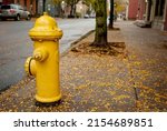 Yellow Fire Hydrant With Fall...