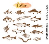 Fish Sorts And Types. Hand...