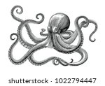 octopus hand drawing vintage... | Shutterstock .eps vector #1022794447