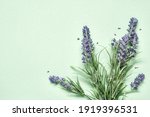 Lavender Bouquet On Mint Green...