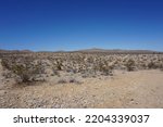 the rocky landscape of the Californian Mojave Desert with green shrubs and dry yellow grass in the foreground and brown hills in the background in the summer sunshine with the bright blue sky above
