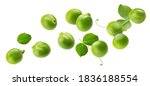 Falling green peas isolated on...
