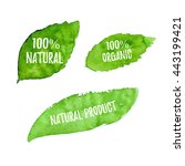 100  natural  organic product ... | Shutterstock .eps vector #443199421